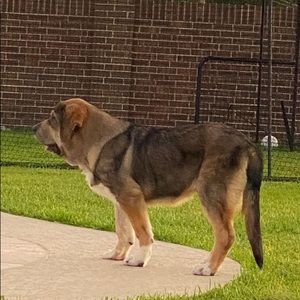 Meet your Posher, Claudia